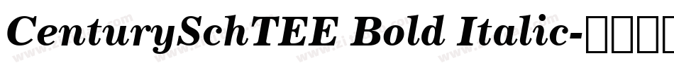 CenturySchTEE Bold Italic字体转换